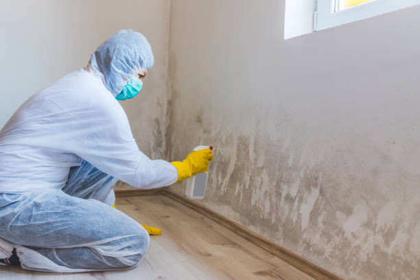 Bathroom Mold Removal assessment in Stephenson bathroom